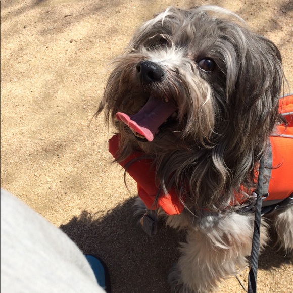 Meet your Posher, Demetrius - Picture 2 of 11